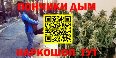 прущий лед Жуковский