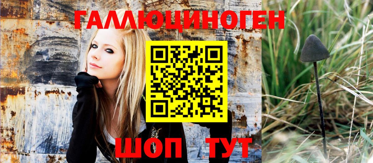 Кулебаки  Галлюциногенные грибы MAGIC MUSHROOMS  Вход с VPN 