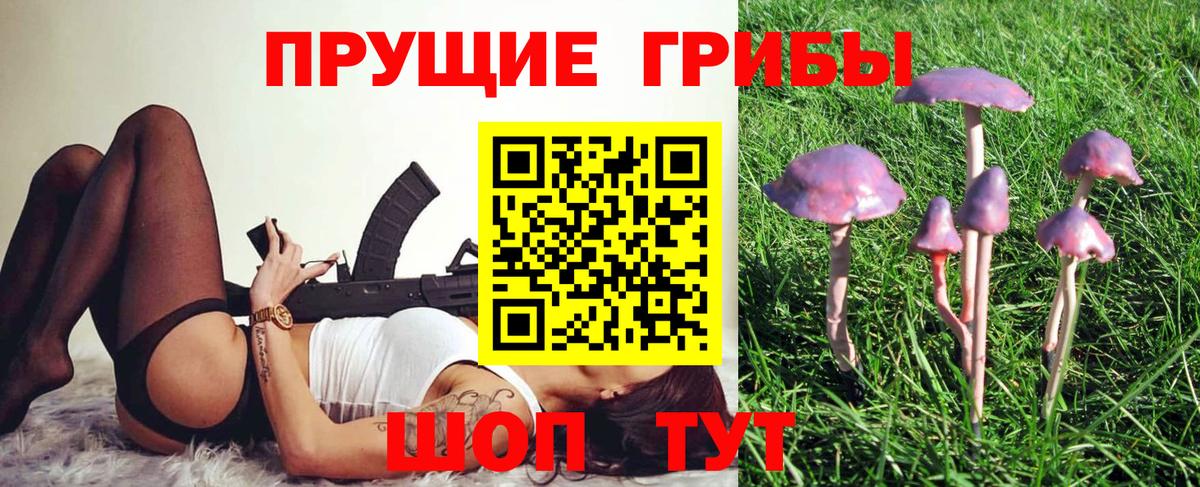 Галлюциногенные грибы MAGIC MUSHROOMS Кулебаки